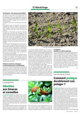 Attention aux limaces et corneilles Attention aux limaces et corneilles