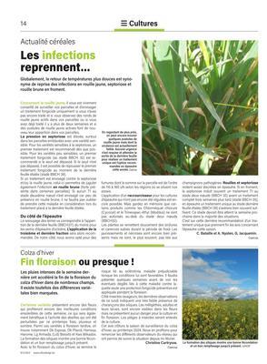 Les infections reprennent… Les infections reprennent…