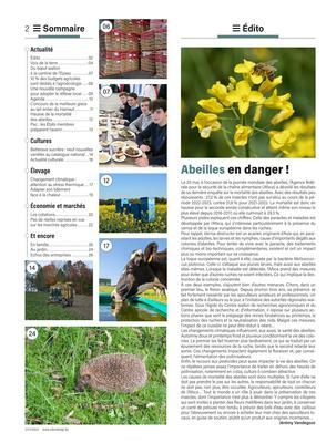 Actualité Actualité