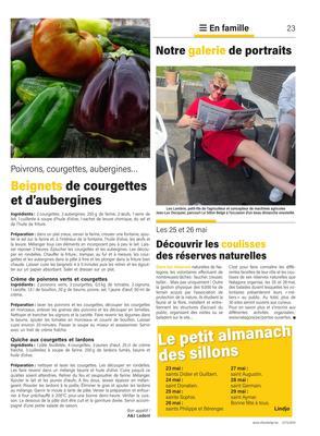 Beignets de courgettes et d’aubergines Beignets de courgettes et d’aubergines