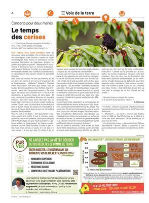 Le temps des cerises Le temps des cerises