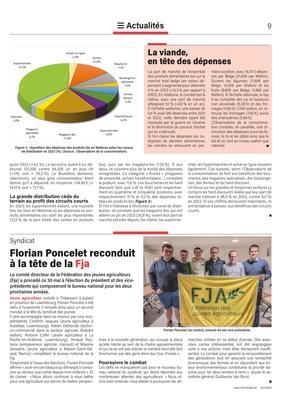 La viande, en tête des dépenses