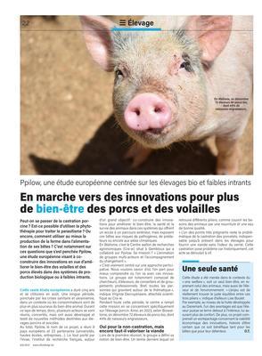 Une seule santé Une seule santé