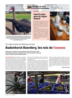 L’œuf le plus gros du règne animal L’œuf le plus gros du règne animal
