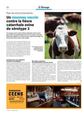 Un nouveau vaccin contre la fièvrecatarrhale ovinede sérotype 3 Un nouveau vaccin contre la fièvrecatarrhale ovinede sérotype 3