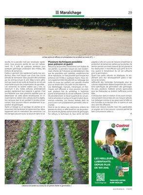 Les galinsoges: comment éviter l’envahissement?