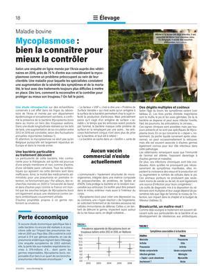 Mycoplasmose: bien la connaître pour mieux la contrôler Mycoplasmose: bien la connaître pour mieux la contrôler
