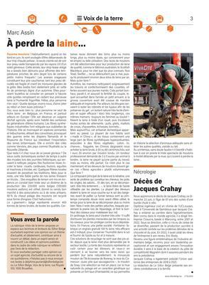 À perdre la laine… À perdre la laine…