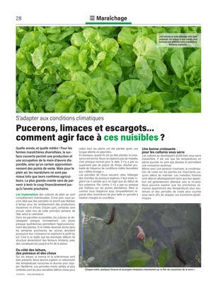 Pucerons, limaces et escargots…comment agir face à ces nuisibles? Pucerons, limaces et escargots…comment agir face à ces nuisibles?