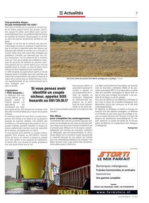 L’opération «SOS busards», pour préserver ces oiseaux durant les moissons L’opération «SOS busards», pour préserver ces oiseaux durant les moissons