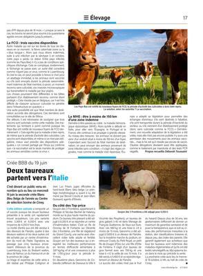 Deux taureaux partent vers l’Italie Deux taureaux partent vers l’Italie