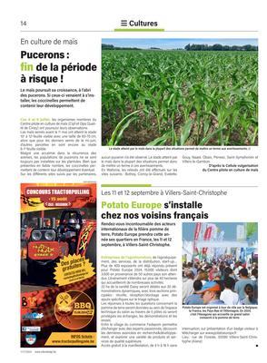Pucerons: fin de la période à risque! Pucerons: fin de la période à risque!