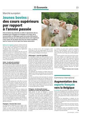 Jeunes bovins: des cours supérieurs par rapport à l’année passée Jeunes bovins: des cours supérieurs par rapport à l’année passée