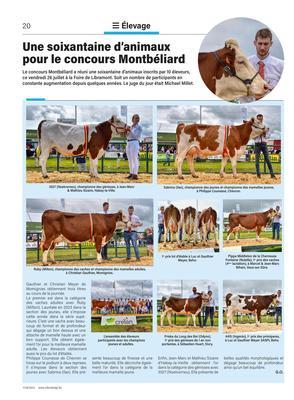 Une soixantaine d’animaux pour le concours Montbéliard Une soixantaine d’animaux pour le concours Montbéliard