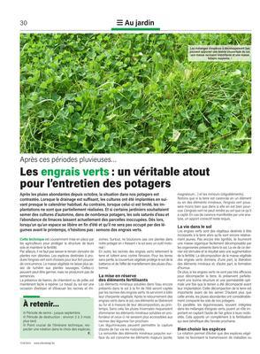 Les engrais verts: un véritable atoutpour l’entretien des potagers Les engrais verts: un véritable atoutpour l’entretien des potagers