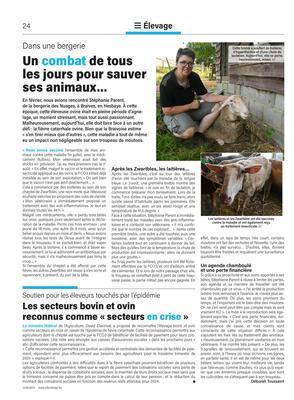 Les secteurs bovin et ovinreconnus comme «secteurs en crise» Les secteurs bovin et ovinreconnus comme «secteurs en crise»