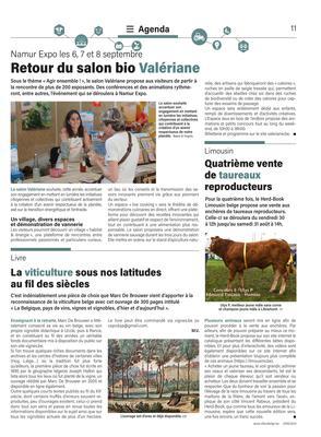Quatrième vente de taureaux reproducteurs Quatrième vente de taureaux reproducteurs