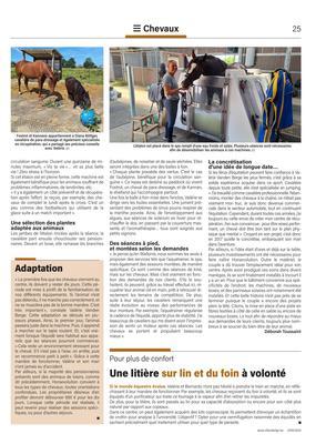 Horsevolution: un centre thalassodédié au bien-être des chevaux! Horsevolution: un centre thalassodédié au bien-être des chevaux!