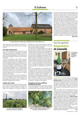 Dégustationet conseils Dégustationet conseils