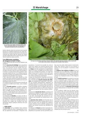 Météo, fertilisation, maladies:le tour de l’actualité en maraîchage Météo, fertilisation, maladies:le tour de l’actualité en maraîchage