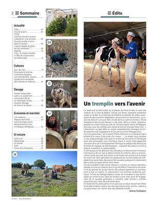 Un tremplin vers l’avenir Un tremplin vers l’avenir