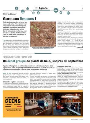 Un achat groupé de plants de haie, jusqu’au 30 septembre
