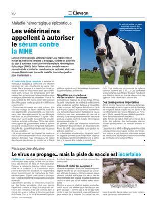 Les vétérinairesappellent à autoriser le sérum contrela MHE Les vétérinairesappellent à autoriser le sérum contrela MHE