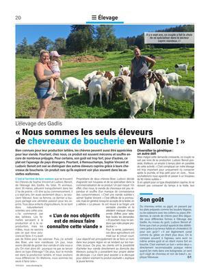 Son goût