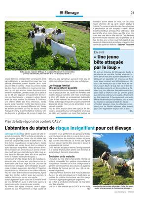 «Une jeunebête attaquéepar le loup» «Une jeunebête attaquéepar le loup»
