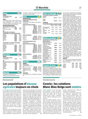 Coevia: les cotations Blanc Bleu Belgesont stables Coevia: les cotations Blanc Bleu Belgesont stables