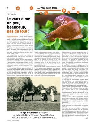 Je vous aime un peu, beaucoup, pas du tout !