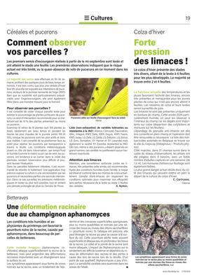 Fortepression des limaces! Fortepression des limaces!