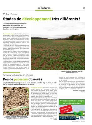 Stades de développement très différents! Stades de développement très différents!