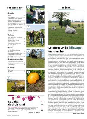 Actualité Actualité