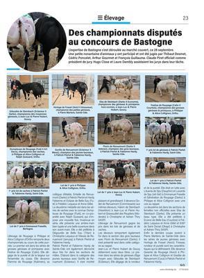 Des championnats disputés au concours de Bastogne Des championnats disputés au concours de Bastogne