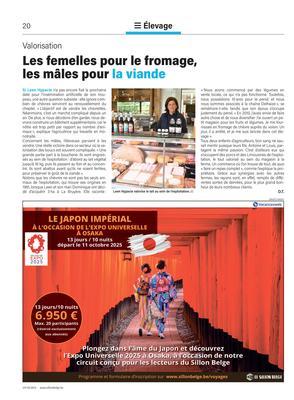 Les femelles pour le fromage, les mâles pour la viande Les femelles pour le fromage, les mâles pour la viande