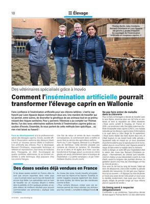 Comment l’insémination artificielle pourrait transformer l’élevage caprin en Wallonie Comment l’insémination artificielle pourrait transformer l’élevage caprin en Wallonie