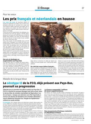 Les prix français et néerlandais en hausse Les prix français et néerlandais en hausse