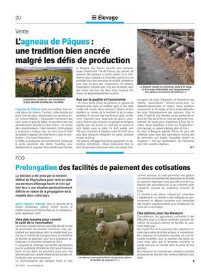 L’agneau de Pâques: une tradition bien ancréemalgré les défis de production L’agneau de Pâques: une tradition bien ancréemalgré les défis de production