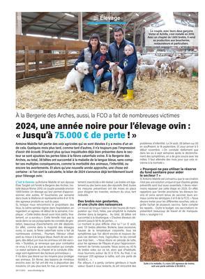 2024, une année noire pour l’élevage ovin:«Jusqu’à 75.000€ de perte!» 2024, une année noire pour l’élevage ovin:«Jusqu’à 75.000€ de perte!»