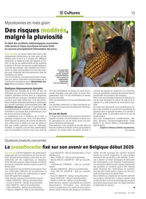 Des risques modérés, malgré la pluviosité Des risques modérés, malgré la pluviosité