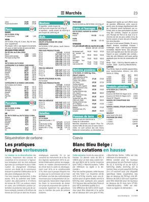 Blanc Bleu Belge : des cotations en hausse Blanc Bleu Belge : des cotations en hausse