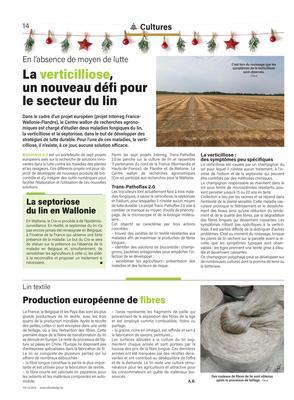 La septoriosedu lin en Wallonie
