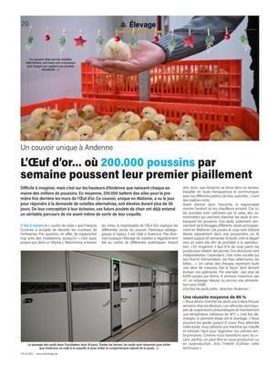 L’Œuf d’or… où 200.000 poussins parsemaine poussent leur premier piaillement L’Œuf d’or… où 200.000 poussins parsemaine poussent leur premier piaillement
