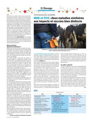 MHE et FCO: deux maladies similaires aux impacts et vaccins bien distincts MHE et FCO: deux maladies similaires aux impacts et vaccins bien distincts