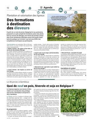 Quoi de neuf en pois, féverole et soja en Belgique? Quoi de neuf en pois, féverole et soja en Belgique?