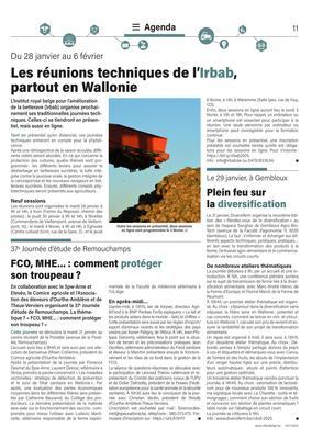 Plein feu sur la diversification Plein feu sur la diversification