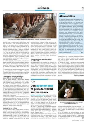 Alimentation
