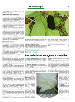 Les maladies et ravageurs à surveiller Les maladies et ravageurs à surveiller