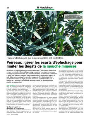 Poireaux: gérer les écarts d’épluchage pour limiter les dégâts de la mouche mineuse Poireaux: gérer les écarts d’épluchage pour limiter les dégâts de la mouche mineuse